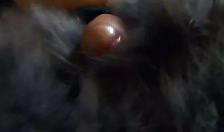 Bu brazzers - büyük izmaritleri büyük göt Müfettiş sahne Yıldız erotik sıcak sahneler