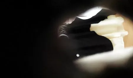 Tombul kız, erotik video kısa şişman büyük horoz kedi