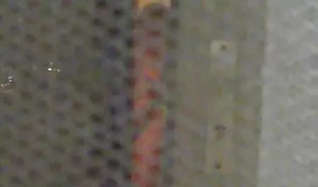 Güzel sarışın bebek Misha Cross erotik gizli çekim video SL önce onu kedi ile oynuyor